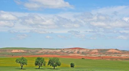 Farm land of 665,000 m² in Tejado (42128)