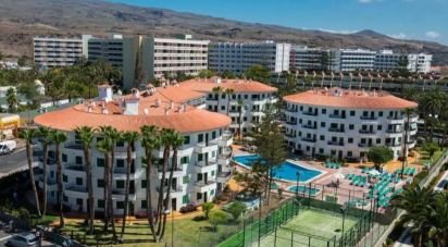 Apartment 1 bedroom of 40 m² in Cañon del Aguila (35100)