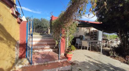 Country home 4 bedrooms of 124 m² in Geldo (12412)