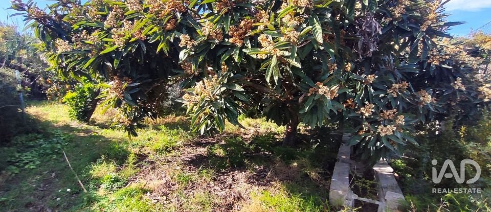 Country home 4 bedrooms of 124 m² in Geldo (12412)