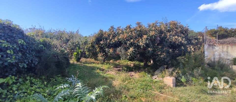 Country home 4 bedrooms of 124 m² in Geldo (12412)