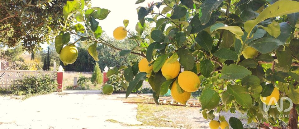 Country home 4 bedrooms of 124 m² in Geldo (12412)