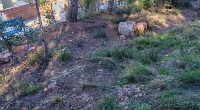 Terrain à bâtir de 604 m² à Gilet (46149)