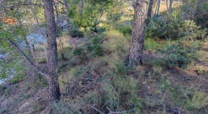 Building plot of 604 m² in Gilet (46149)