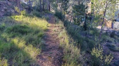 Building plot of 604 m² in Gilet (46149)