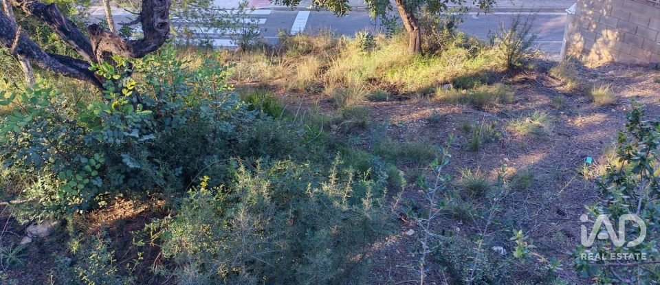 Terrain à bâtir de 604 m² à Gilet (46149)