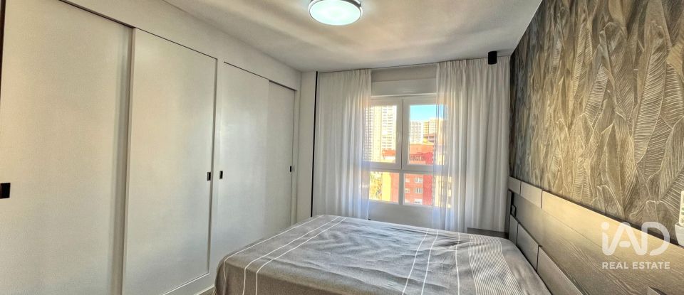 Apartment 2 bedrooms of 95 m² in Benidorm (03503)