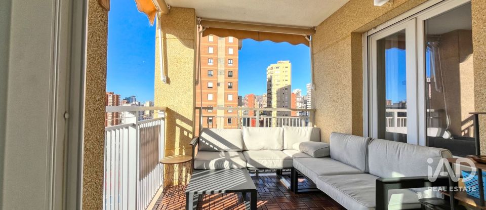 Apartment 2 bedrooms of 95 m² in Benidorm (03503)