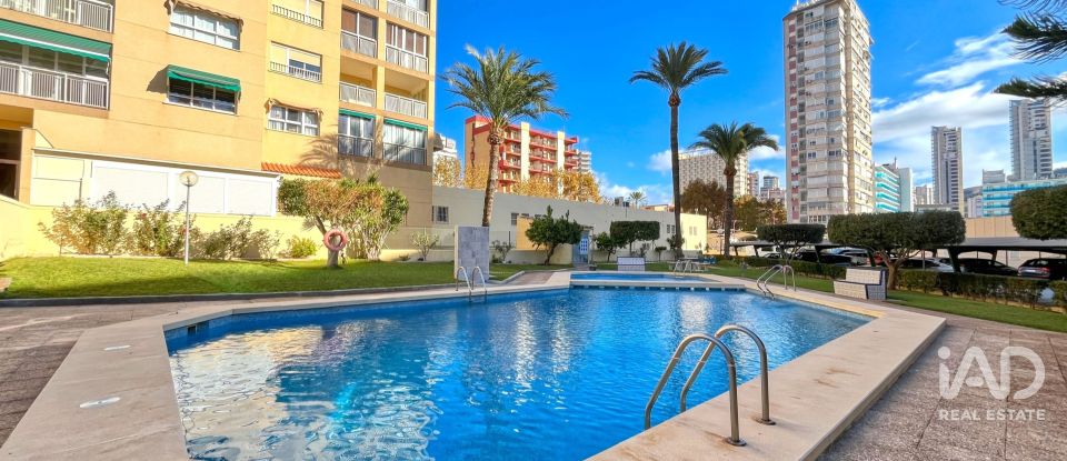 Apartment 2 bedrooms of 95 m² in Benidorm (03503)