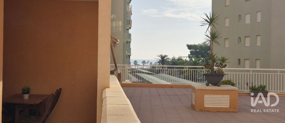 Apartment 2 bedrooms of 61 m² in Oropesa/Oropesa del Mar (12594)