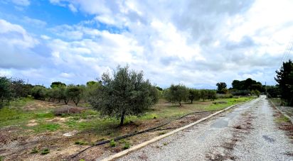 Casa 3 habitacions de 400 m² a Valls (43800)