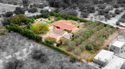 Casa 3 habitacions de 400 m² a Valls (43800)