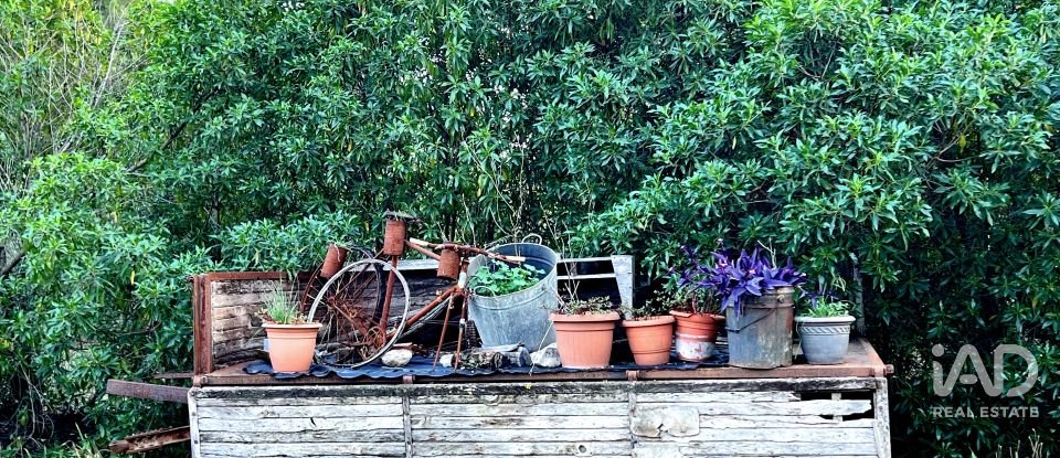 Casa 3 habitacions de 400 m² a Valls (43800)