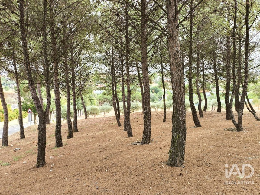 Terreno urbano de 2.162 m² en Colmenar de Oreja (28380)