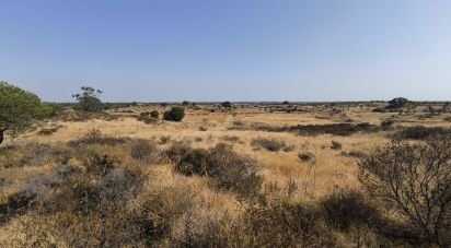 Terrain de 26 931 m² à Villablanca (21590)