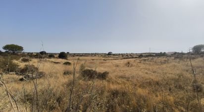 Terrain de 26 931 m² à Villablanca (21590)