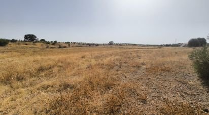 Terreno de 26.931 m² en Villablanca (21590)