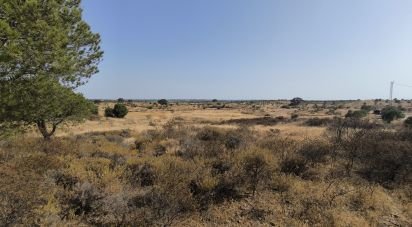 Terreno de 26.931 m² en Villablanca (21590)