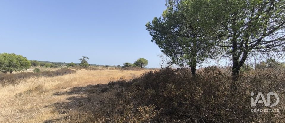 Terrain de 26 931 m² à Villablanca (21590)