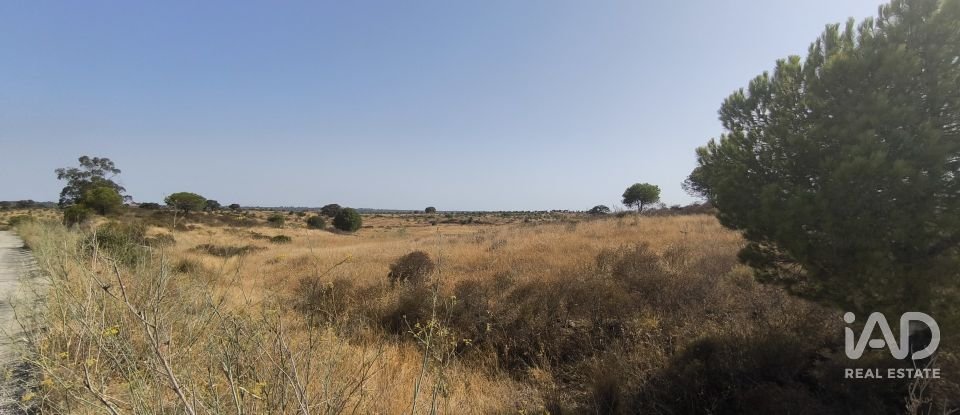 Terrain de 26 931 m² à Villablanca (21590)