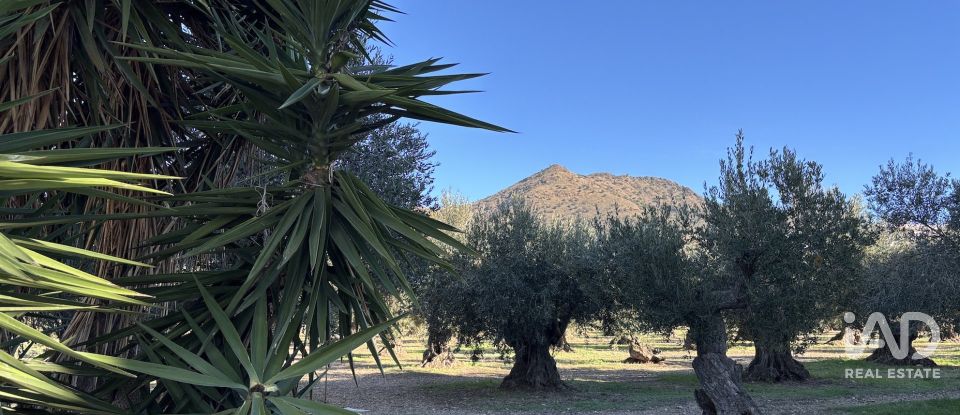 Pis 2 habitacions de 42 m² a Roses (17480)