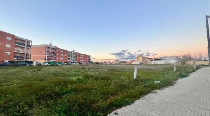Terreno urbano de 855 m² en Amposta (43870)