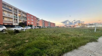 Building plot of 855 m² in Amposta (43870)