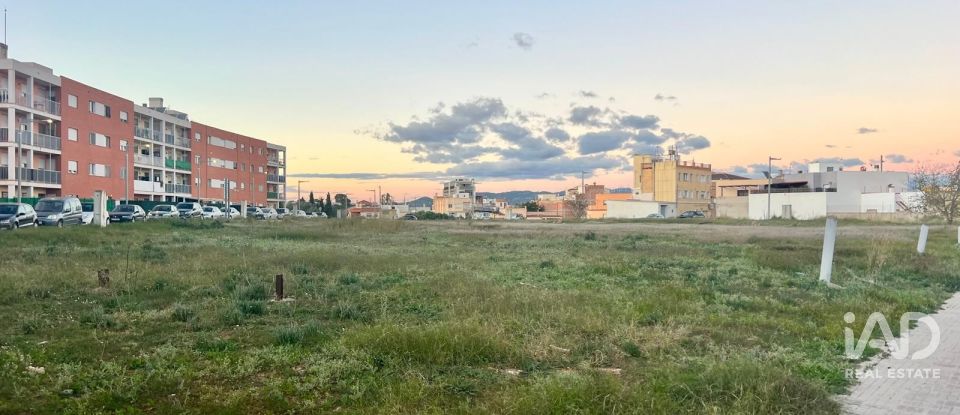 Building plot of 855 m² in Amposta (43870)
