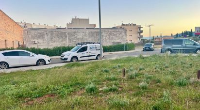 Building plot of 855 m² in Amposta (43870)