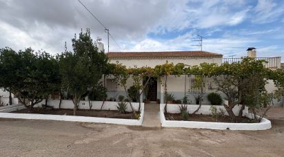 Maison rustique 6 chambres de 180 m² à Alcanara (30813)