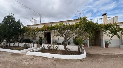 Maison rustique 6 chambres de 180 m² à Alcanara (30813)